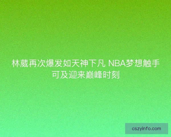 林葳再次爆发如天神下凡 NBA梦想触手可及迎来巅峰时刻